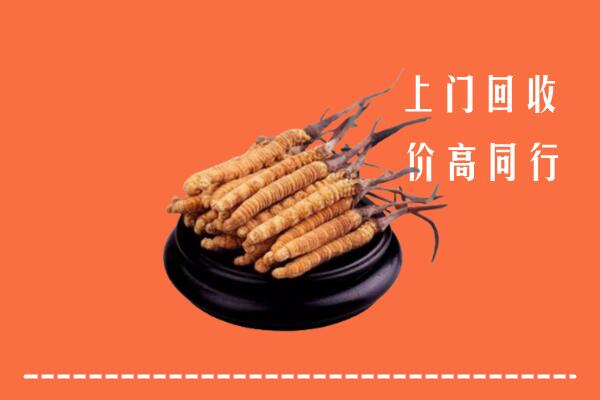 高价求购：盘州市回收散虫草