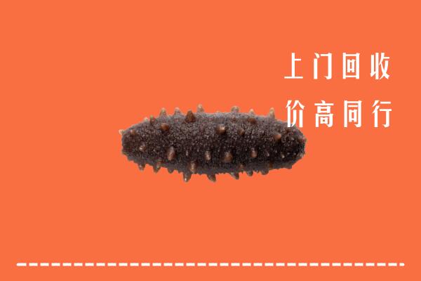 高价求购：盘州市回收海参