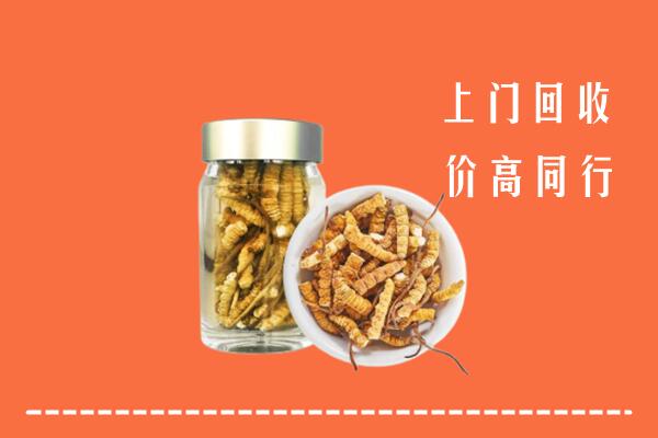 盘州市高价回收冬虫夏草