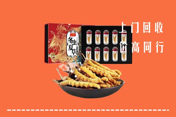 收购行情：盘州市回收虫草